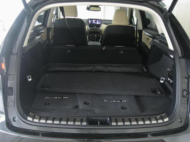 Photo of 2018 Caviar Lexus NX 300