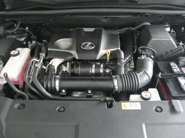 Photo of 2018 Caviar Lexus NX 300