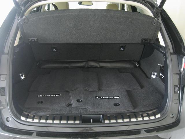 Photo of 2018 Caviar Lexus NX 300