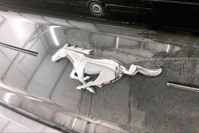 Photo of 2020 Magnetic Metallic Ford Mustang