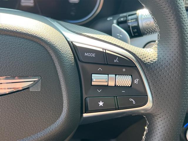Photo of 2026 Vik Black Genesis G70