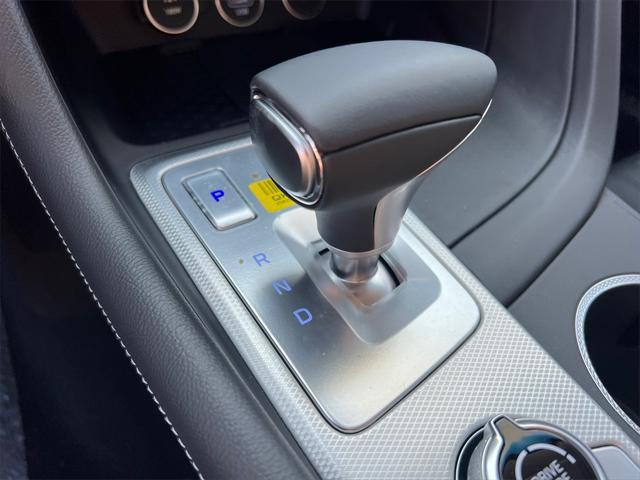 Photo of 2026 Vik Black Genesis G70