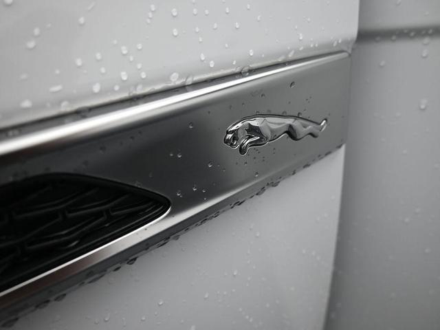 Photo of 2021 Fuji White Jaguar F-PACE