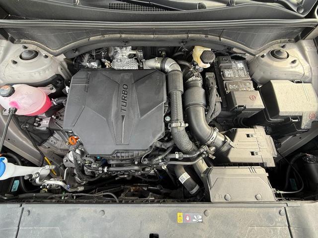 Photo of 2025 Road Rider Brown Kia Sorento