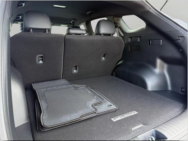 Photo of 2024 Wolf Gray Kia Sportage