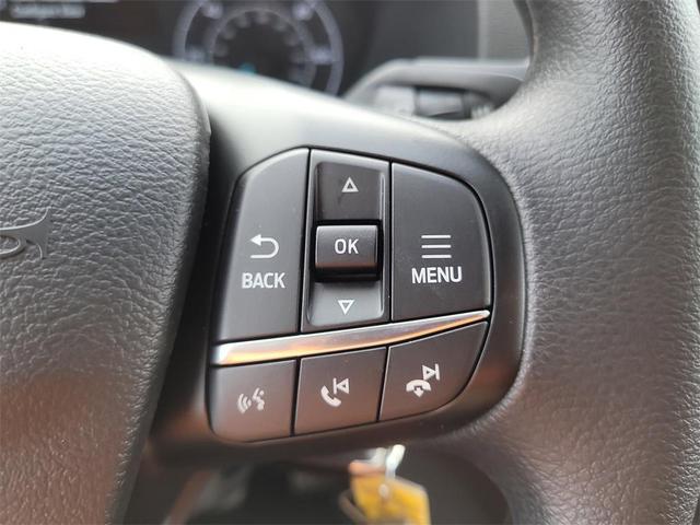 Photo of 2025 Oxford White Ford Transit-250