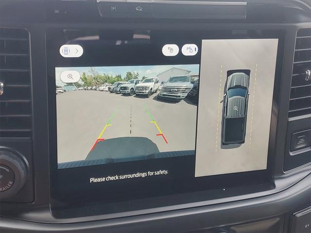 Photo of 2025 Black Metallic Ford F-150