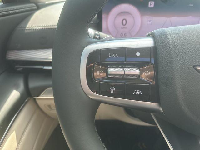 Photo of 2025 Green Genesis GV80
