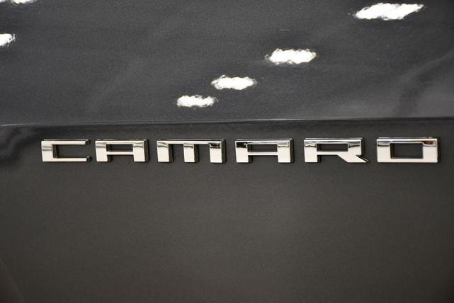 Photo of 2010 Cyber Gray Metallic Chevrolet Camaro
