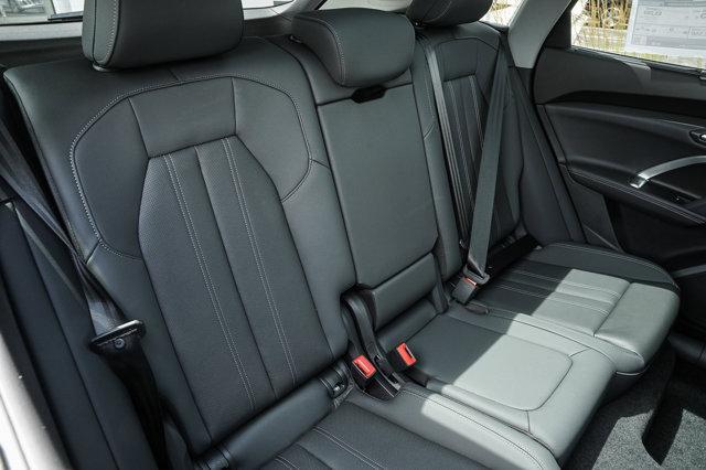Photo of 2025 Tambora Audi Q5