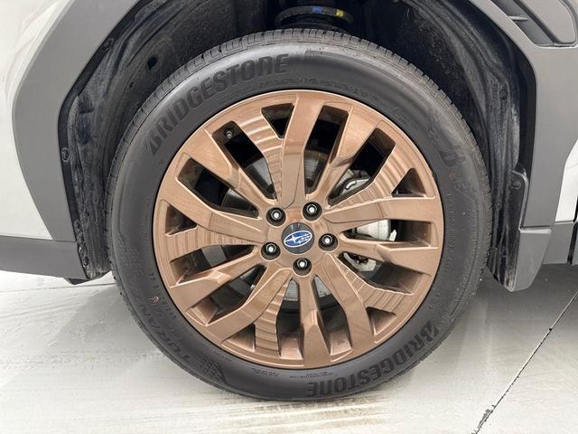 Photo of 2025 Gray Subaru Forester