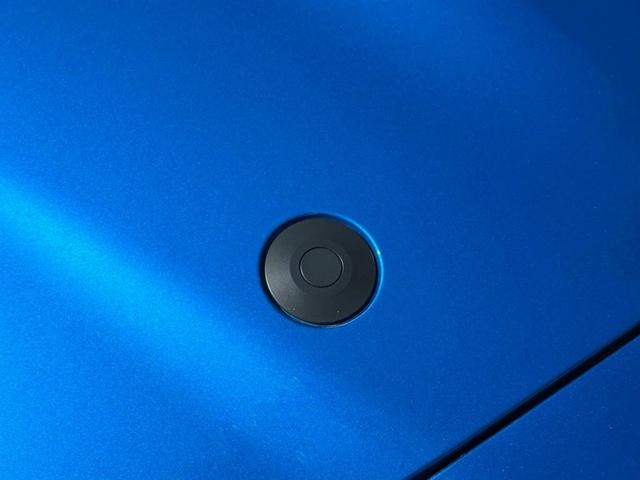 Photo of 2021 Velocity Blue Metallic Ford Shelby GT500