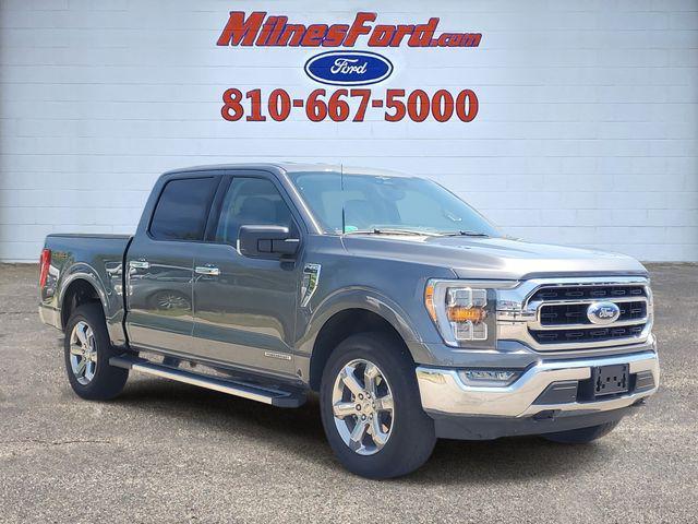 Photo of 2023 Gray Metallic Ford F-150