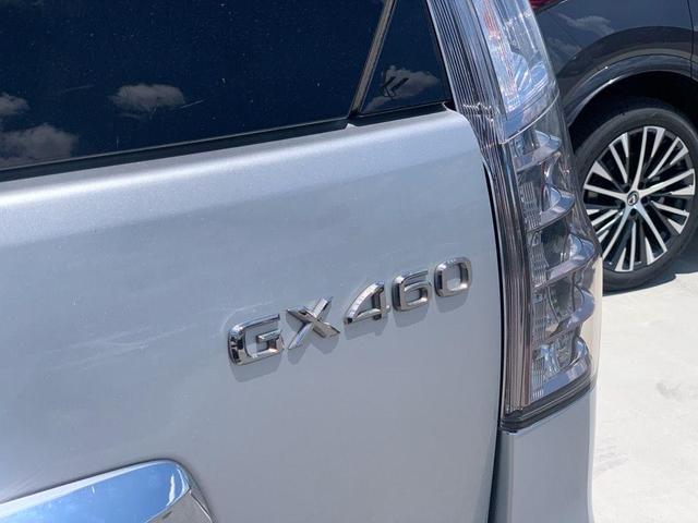 Photo of 2019 Silver Lining Metallic Lexus GX 460