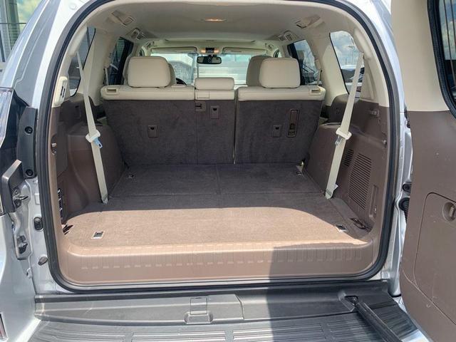Photo of 2019 Silver Lining Metallic Lexus GX 460