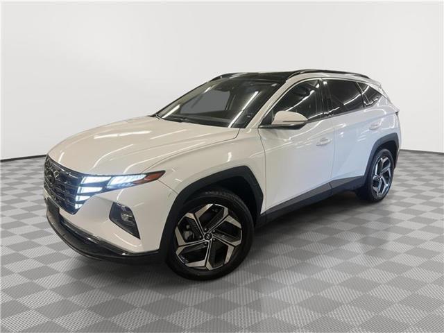 Photo of 2023 Serenity White Pearl Hyundai TUCSON