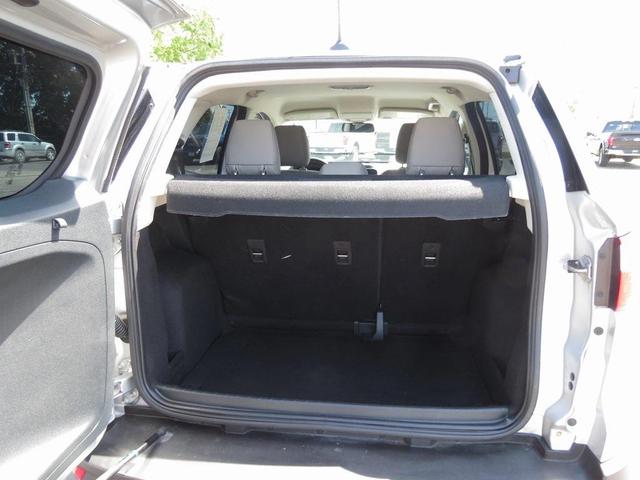 Photo of 2020 Moondust Ford EcoSport