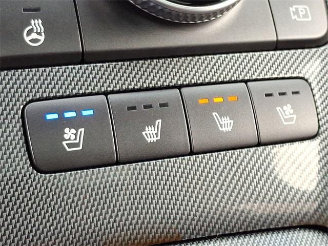 Photo of 2022 Calypso Red Hyundai SANTA FE