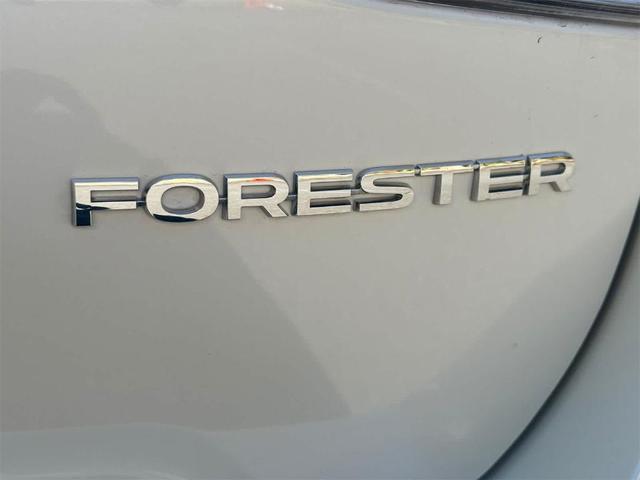 Photo of 2019 Crystal White Pearl Subaru Forester
