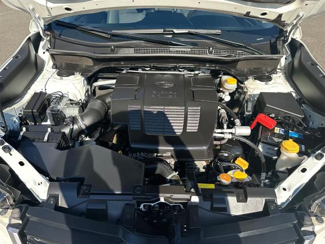 Photo of 2019 Crystal White Pearl Subaru Forester