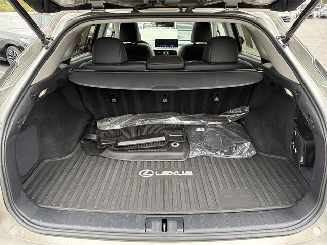 Photo of 2020 Atomic Silver Lexus RX 350
