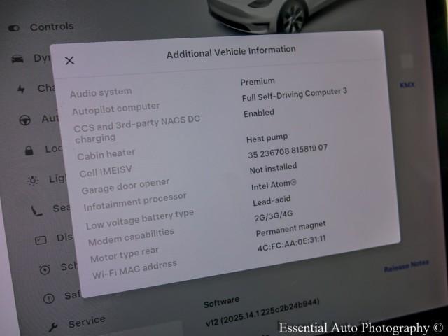 Photo of 2021 Pearl White Multi Tesla Model Y
