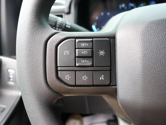 Photo of 2025 White Metallic Ford F-150