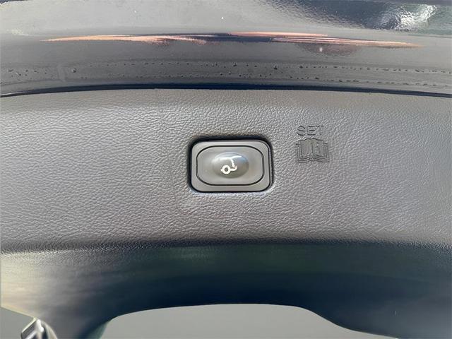 Photo of 2024 Black Metallic Ford Edge