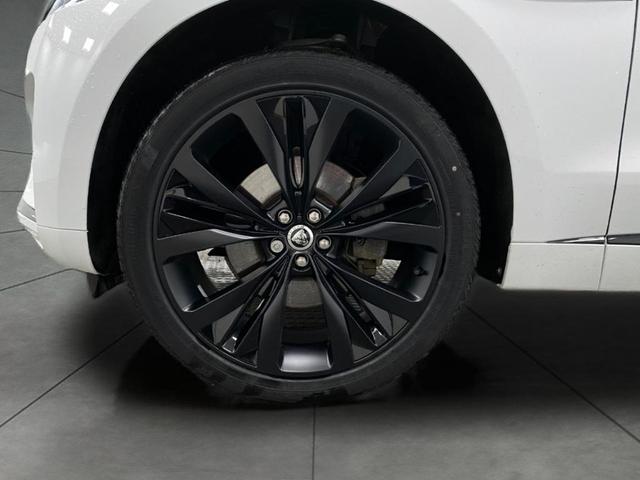 Photo of 2025 Fuji White Jaguar F-PACE