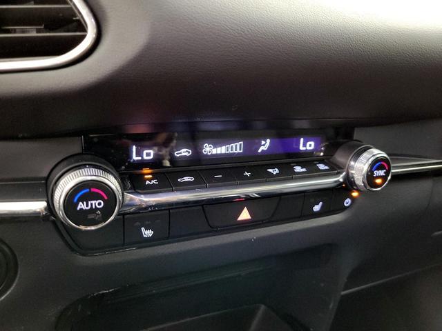 Photo of 2025 Blue Mazda CX-30