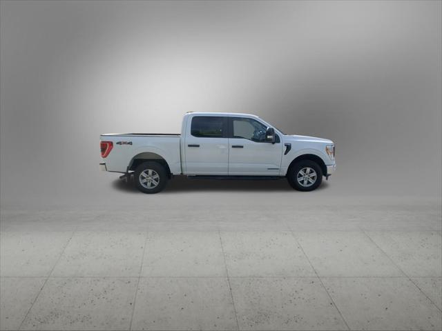 Photo of 2021 Oxford White Ford F-150