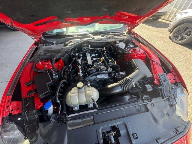 Photo of 2023 Race Red Ford Mustang