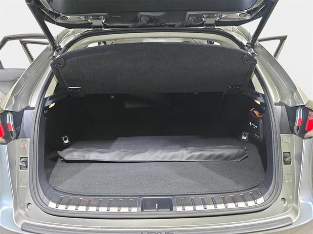 Photo of 2017 Atomic Silver Lexus NX 300h