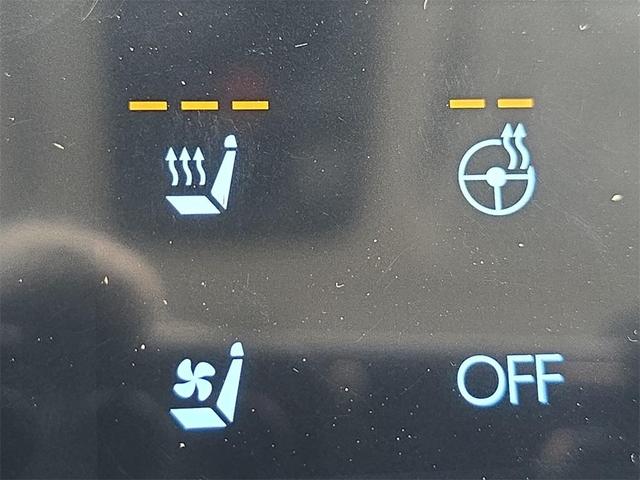 Photo of 2025 Green Hyundai SANTA FE