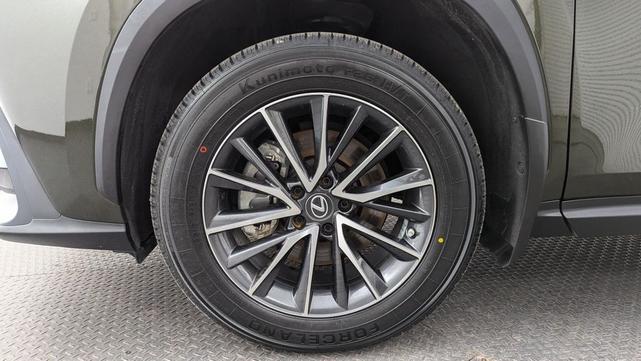 Photo of 2023 Nori Green Pearl Lexus NX 250