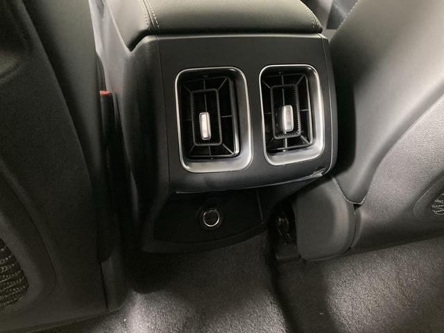 Photo of 2025 Panthera Metal Kia Sorento