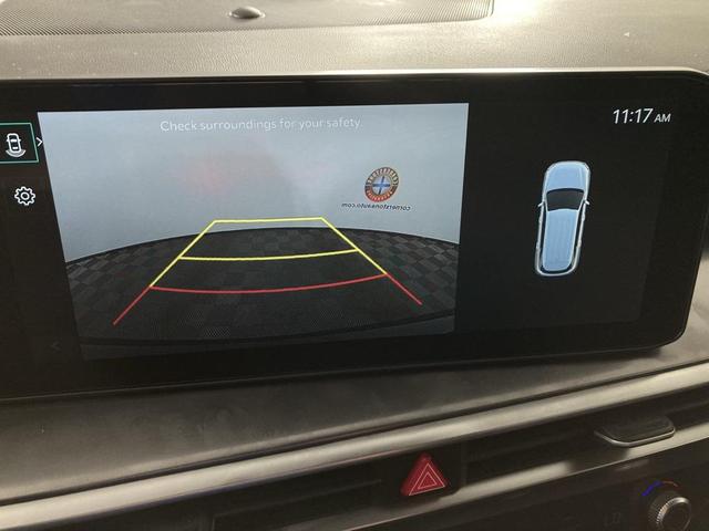 Photo of 2025 Panthera Metal Kia Sorento