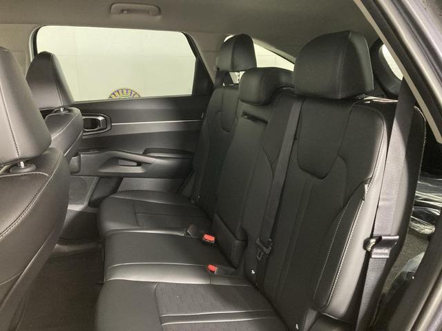 Photo of 2025 Panthera Metal Kia Sorento