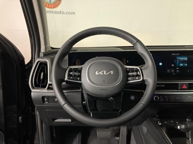 Photo of 2025 Panthera Metal Kia Sorento