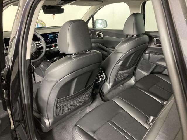 Photo of 2025 Panthera Metal Kia Sorento