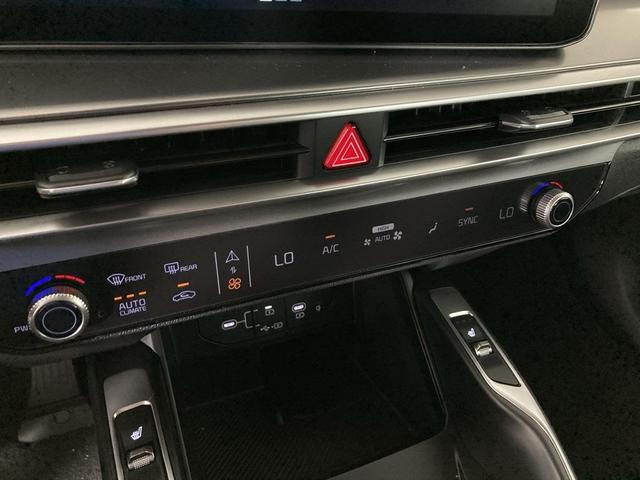 Photo of 2025 Panthera Metal Kia Sorento