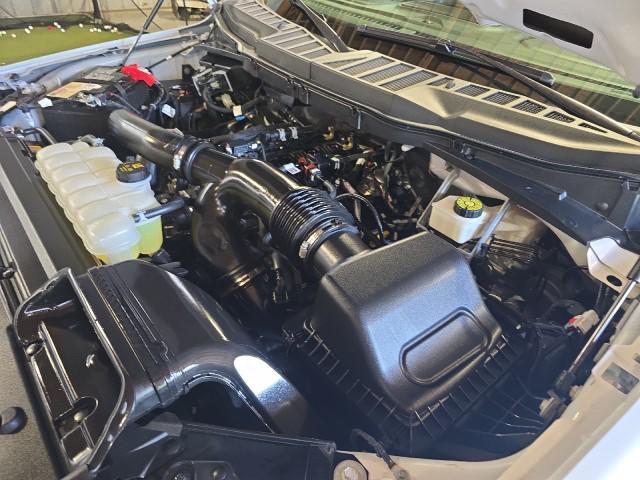 Photo of 2024 Oxford White Ford F-150