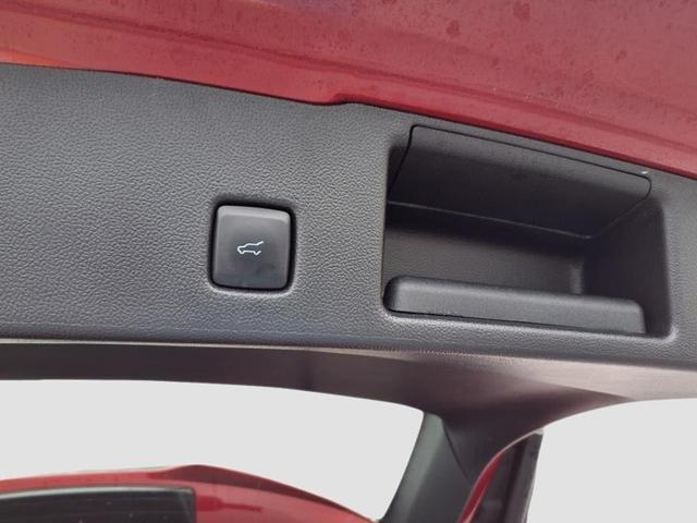 Photo of 2023 Rapid Red Metallic Tinted Clearcoat Ford Escape