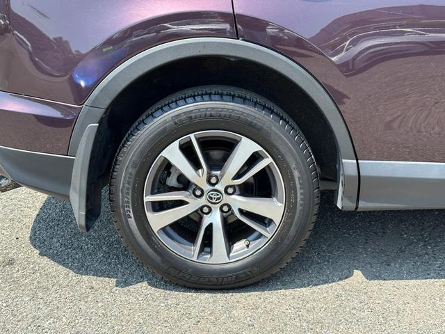 Photo of 2017 Black Currant Metallic Toyota RAV4