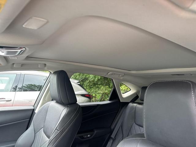Photo of 2023 Red Lexus NX 350