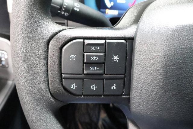 Photo of 2025 Carbonized Gray Metallic Ford F-150