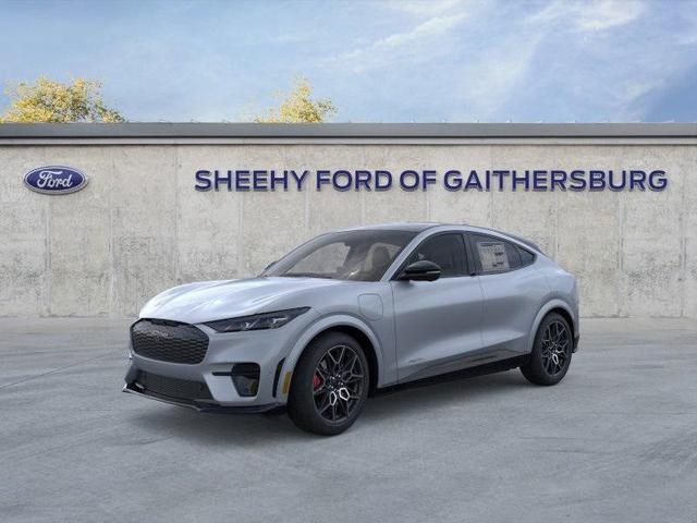 Photo of 2025 Glacier Gray Metallic TriCoat Ford Mustang Mach-E