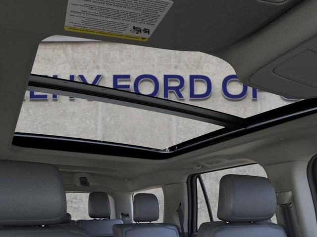 Photo of 2025 Gray Ford Expedition