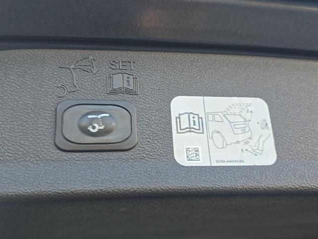 Photo of 2017 Magnetic Ford Escape
