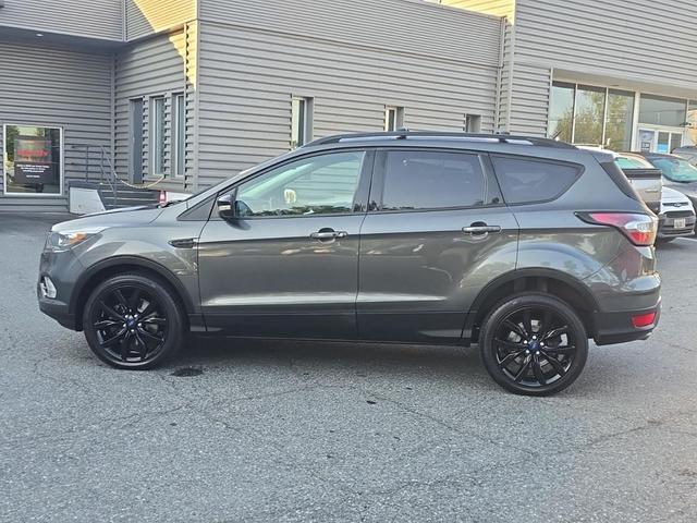 Photo of 2017 Magnetic Ford Escape